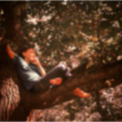 Falling Out Of Trees