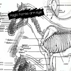 MEOWMEOW 彡 magic horse arm eye