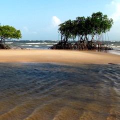 Marajó feat. Empatia