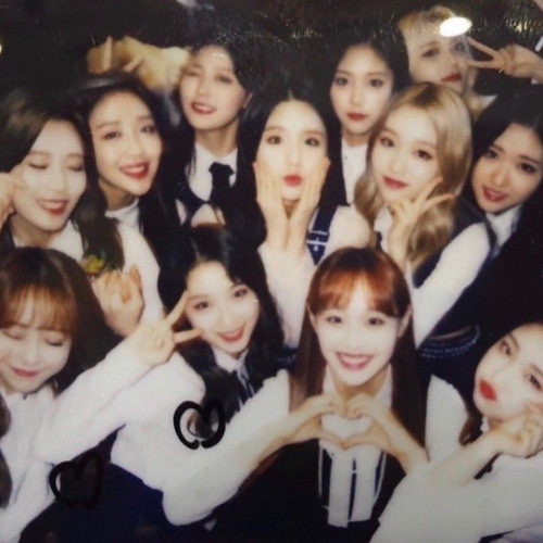LOONA - Colors (bunny flip)