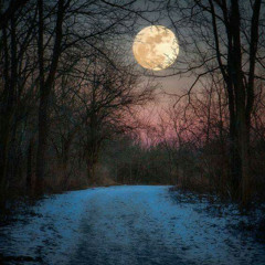 Winter Moon