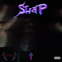 SLAP Prod. by VUIVOKOV
