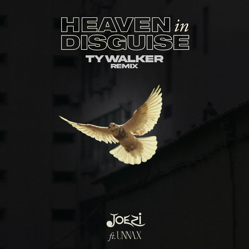 Joezi & UNNA X - Heaven In Disguise (Ty Walker Remix)
