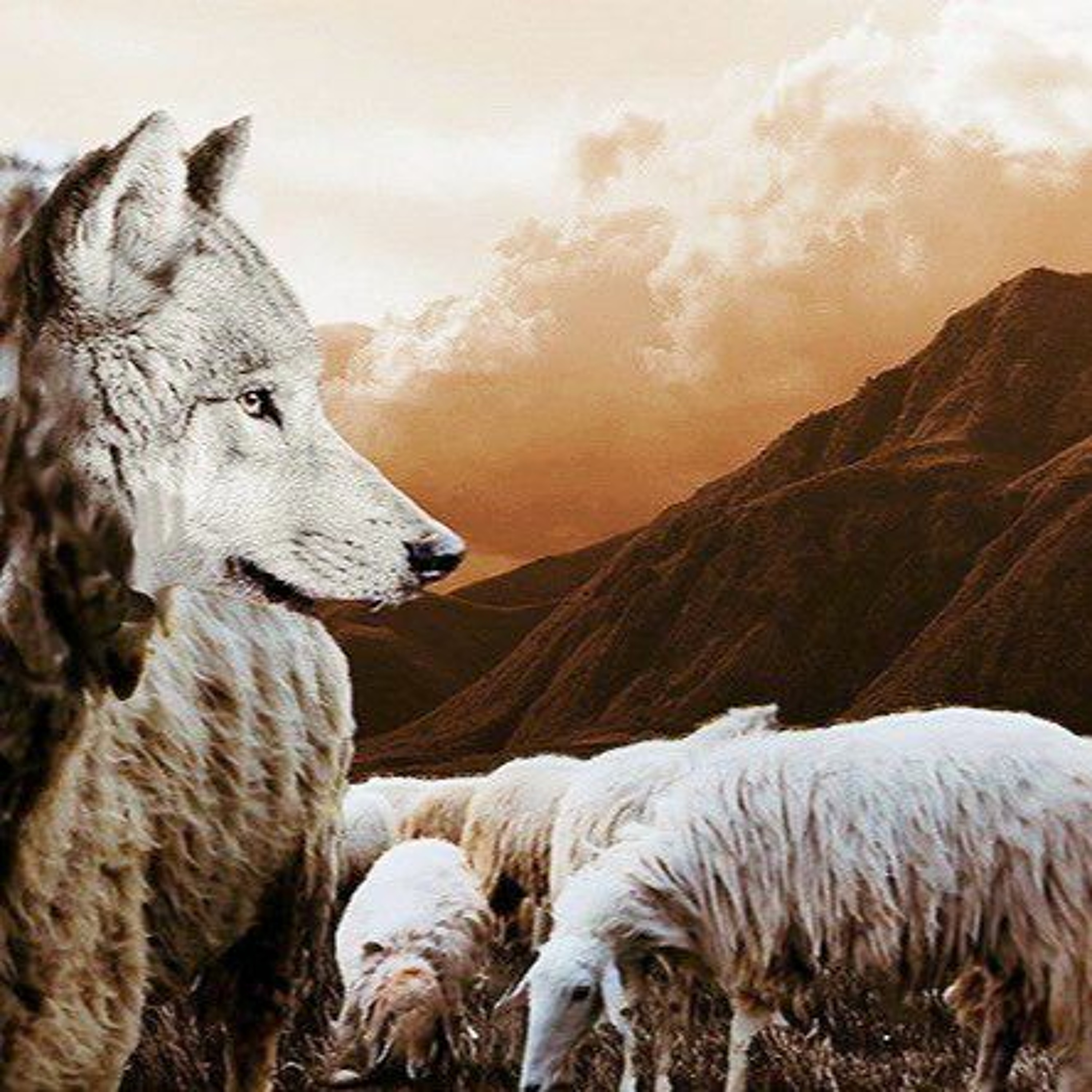 6-14-2020  "False Prophets"   -Pastor Bill Register episode artwork