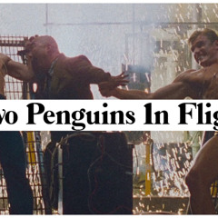 Two Penguins In Flight