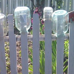 Lakiwan - Grandma's House [Livemix]