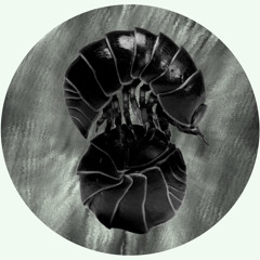 Brixtā - isopods
