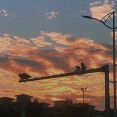 Best Vietnam Lofi Music - Chill