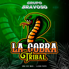La Cobra Tribal