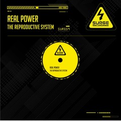 SUR059 - 2 The Reproductive System - Real Power (I.T Original Mix) (Out Now)