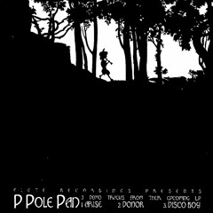 P POLE PAN extraits de la demo (2006)