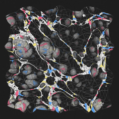 ALEPH - EXO [MESH0114]