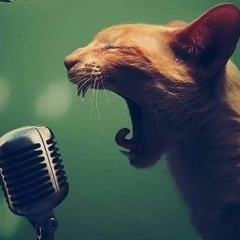 TAXI - Yes Medley