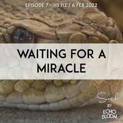 Waiting for a Miracle (Scratch - Episode 7 - HS 113)
