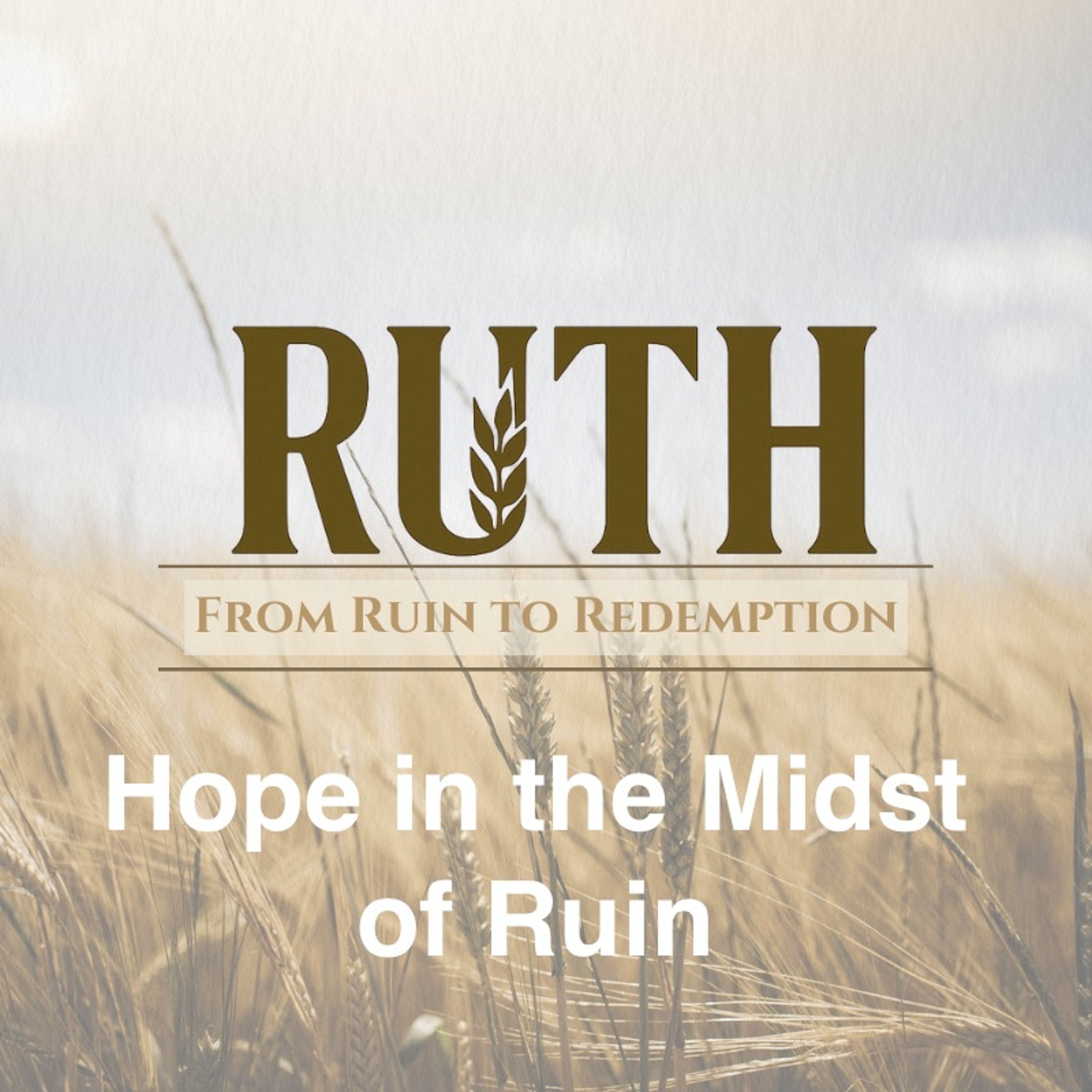 May 4/25 | Hope in the Midst of Ruin  | Ruth 1 | Dave Messier episode artwork