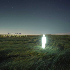 Nikko  Culture - careless whisper