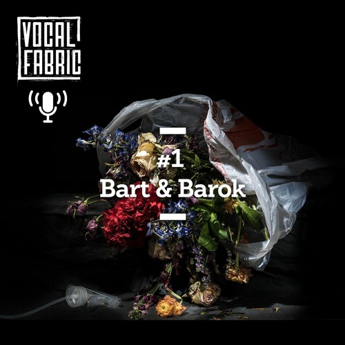 Vocal Fabric Podcast Episode 1: Bart & Barok