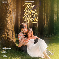 Tere Bina Main - Inder Chahal