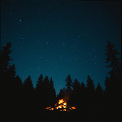 Wildfire Hearts
