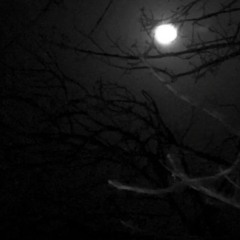 vile.mp3 prod xinisist x glizi