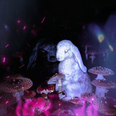 VOIDIVE - LORA N MIKE (SLOWED)