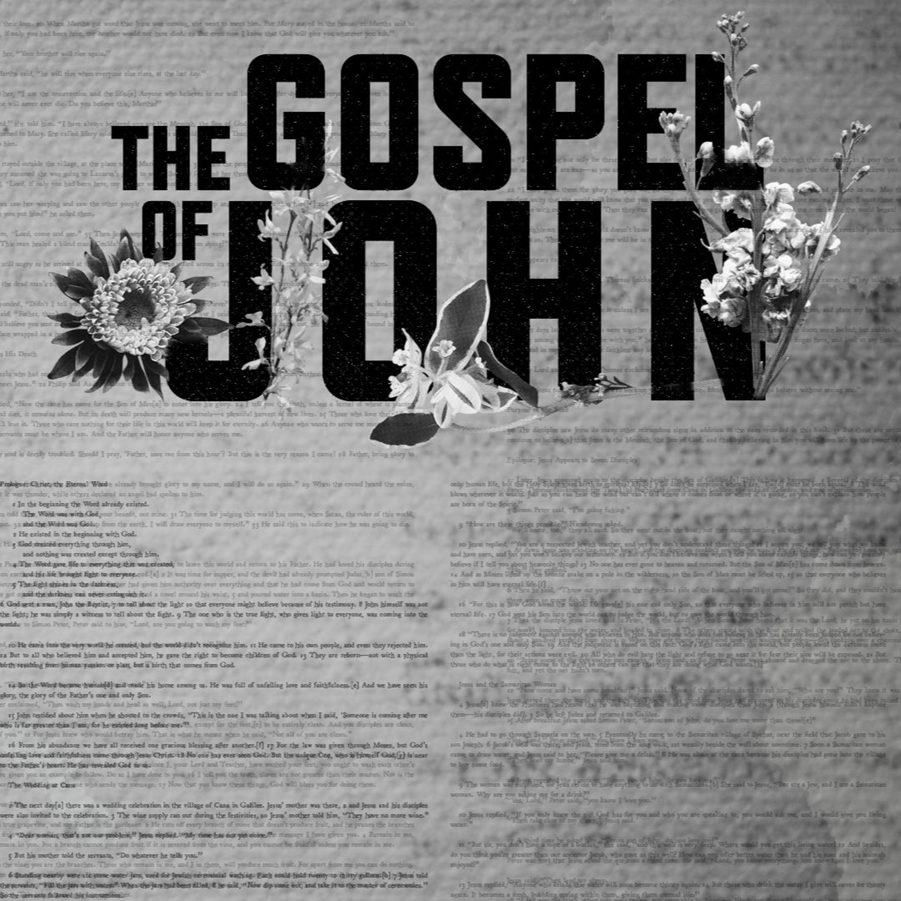 Mar 20 | Eternal Life | John 12:20-33 | The Gospel of John | Amy Christie episode artwork