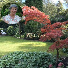 Les 75 Ans