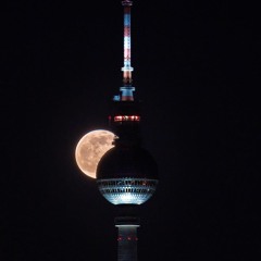 Bounce in the Rounce