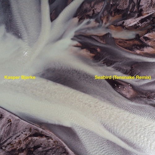 Seabird - (Tensnake Remix)