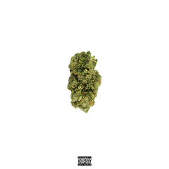 Rollin up ( Recording While high Part 1)
