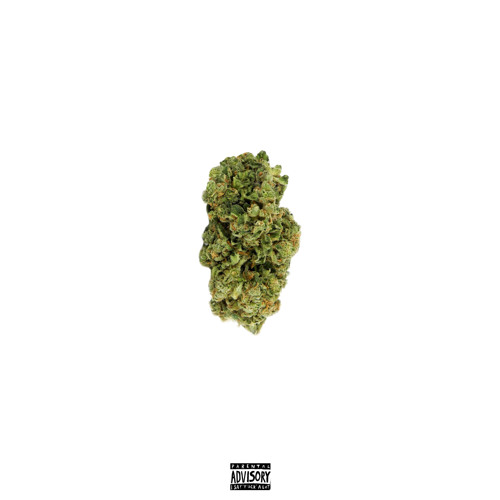Rollin up ( Recording While high Part 1)