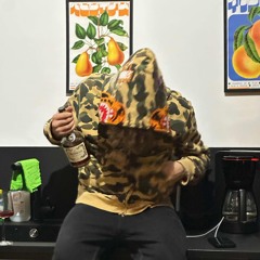 Studio Freestyle (demo)