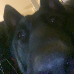 old jump up vol 2 k1llz b2b jumpnow