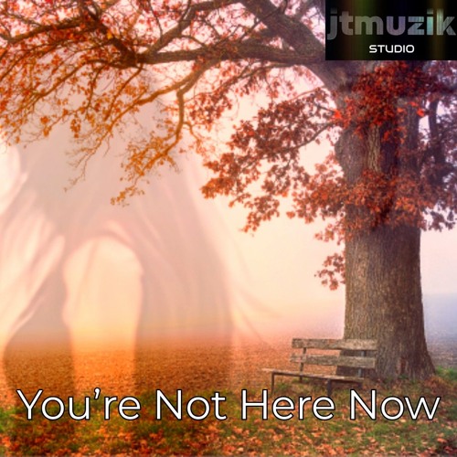 You're Not Here Now.mp3
