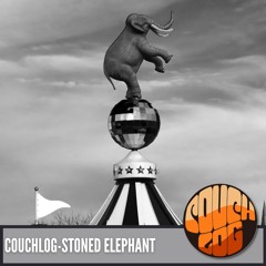 couchlog - Stoned Elephant (original Mix)