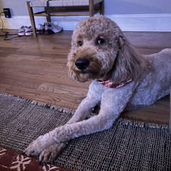 Goth boi  (prod. by Vlone Chris)