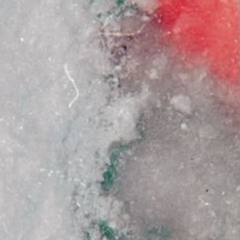 Mustard in Outer Space