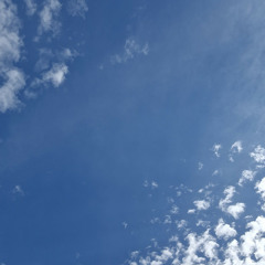 Summer