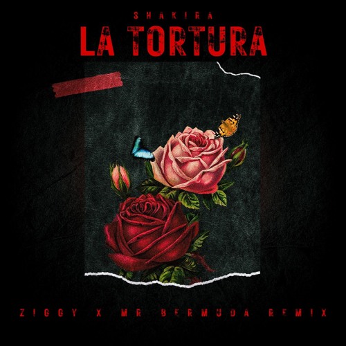 La Tortura (ZIGGY & Mr Bermuda Remix)