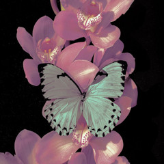i <3 pink