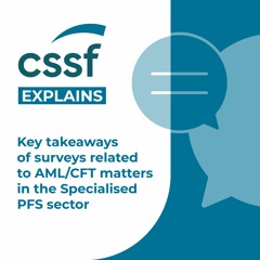 Key takeaways of surveys related to AML/CFT matters in the specialised PFS sector