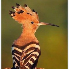 صدقتني (3).mp3