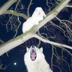 Spread Your Wings (prod. me)