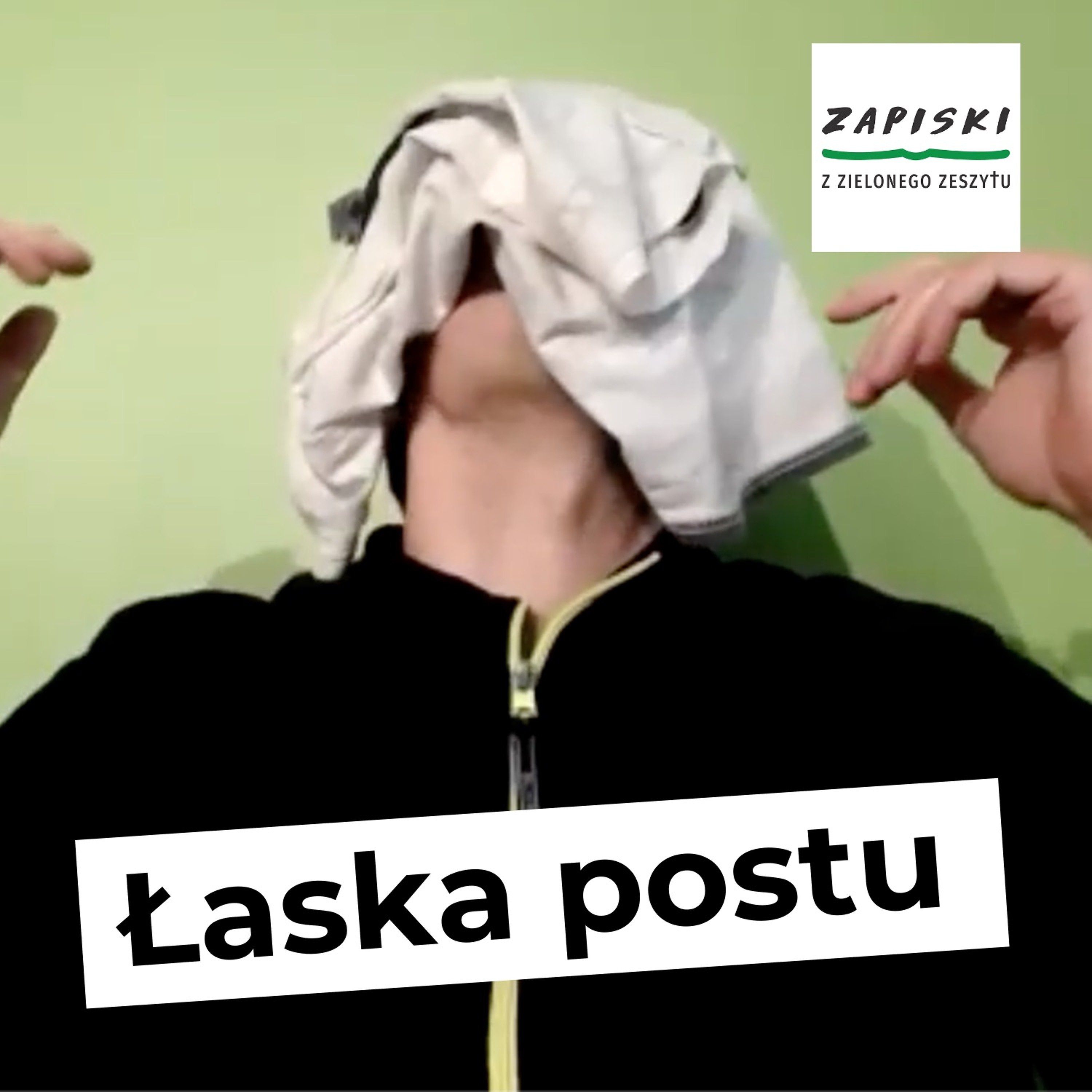 Zapiski z zielonego zeszytu