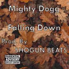 Falling Down (Prod. By SHOGUN BEATS)