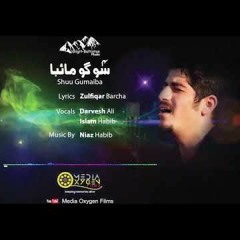 Shuu Gumaiba | Darvesh Ali & Islam Habib | 2021 (Burushaski)