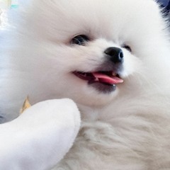 [JELLYBIRD Cover] GRIO - Forward (Feat. Skinny Brown, GIST)