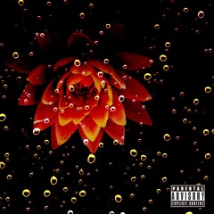 Lotus - MN Moder & NorthWood