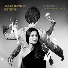 String Quartet No. 5 in A Major, Op. 18 No. 5: III. Andante cantabile