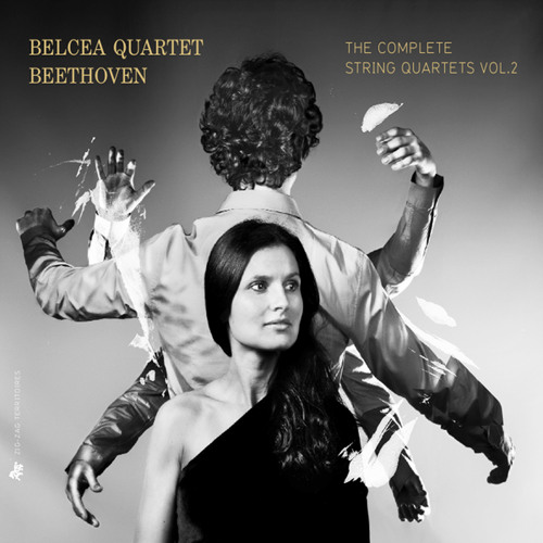 String Quartet No. 5 in A Major, Op. 18 No. 5: III. Andante cantabile